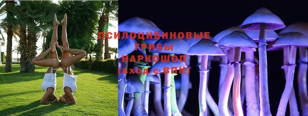 хмурый Новозыбков