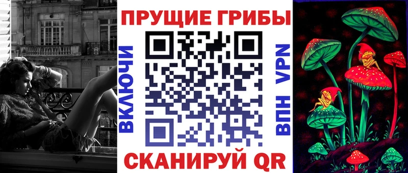 продажа наркотиков  Чулым  Псилоцибиновые грибы GOLDEN TEACHER 